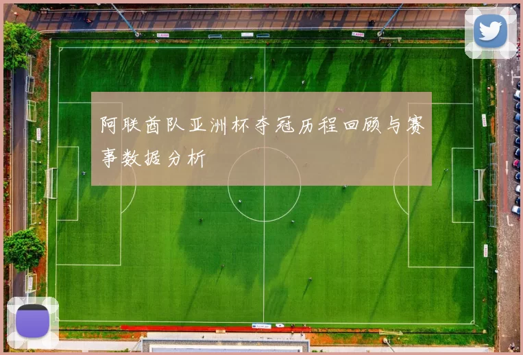 阿联酋队亚洲杯夺冠历程回顾与赛事数据分析
