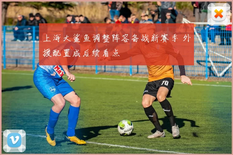 上海大鲨鱼调整阵容备战新赛季 外援配置成后续看点