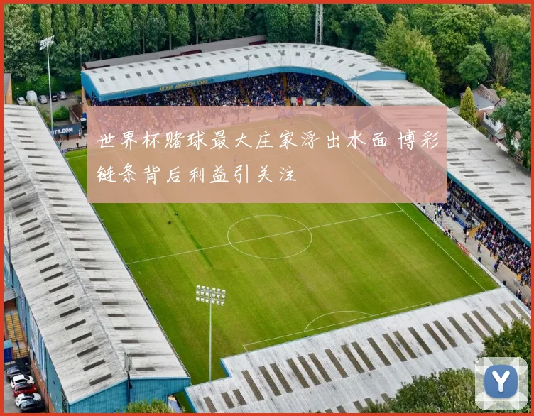 世界杯赌球最大庄家浮出水面 博彩链条背后利益引关注