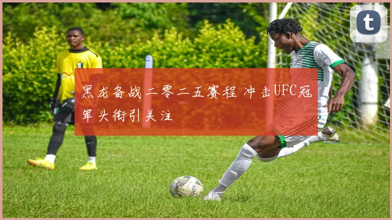 黑龙备战二零二五赛程 冲击UFC冠军头衔引关注