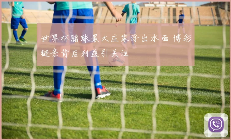 世界杯赌球最大庄家浮出水面 博彩链条背后利益引关注